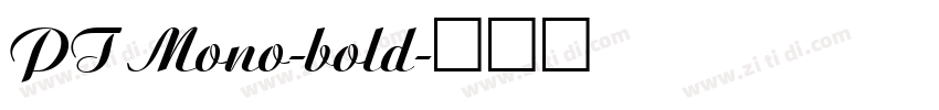 PT Mono-bold字体转换